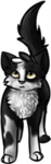 be swiftpaw
