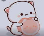 Trade me kiwi
