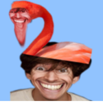 Albert fan club we are gods