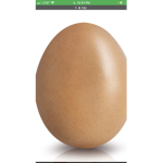 Famous egg