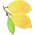 Blocked Lemon