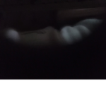 عربب
