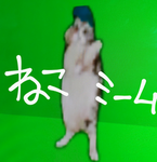 ダンス猫ミーム