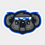 team KOALAS only