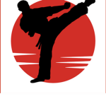 Mixed Martial arts group