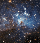 The nebula stars
