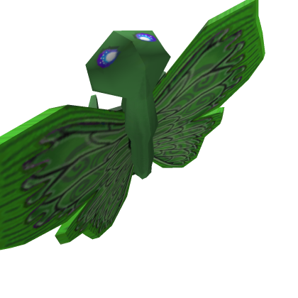 moth