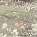 flower gr0up