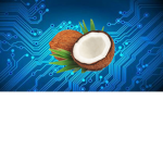 Coconut Tech