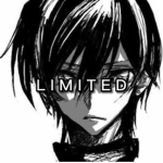 L I M I T E D 限