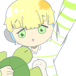 カメ軍団