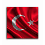 [TAF] Sınır Müfettişi