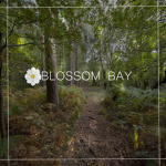 Blossom Bay™️.