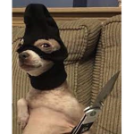 robux lol pro 12345678