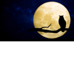 Night OwI Games