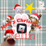 Teams félin