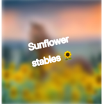~ Sunflower stables ~