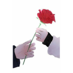 roses savge :)