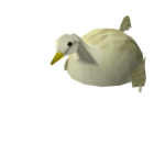 Mr. Quackers Univeristy
