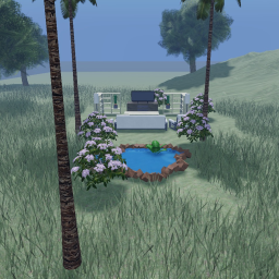 The community hangout
