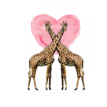 Giraffe fam!