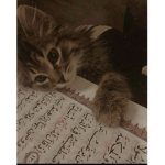 الصبر¡