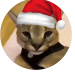 !Warrior cats movie makers!