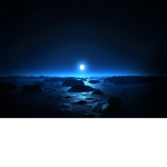 (*) The Cult of Midnight. (*)