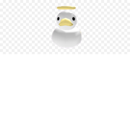 duck are de best thing ever