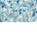 The bottle nation
