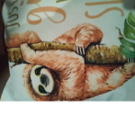 The sloth grop