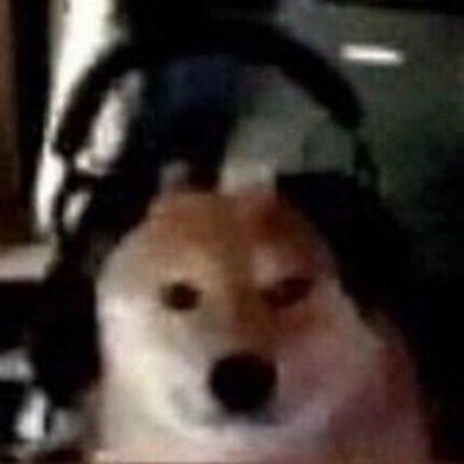 gaming shiba inu dog Roblox decal