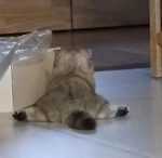 EepyKlttles
