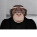 Lethal ape 2 (adding monsters later) icon