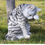 Kittens and cats!