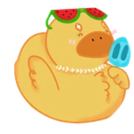 Summertime Duck