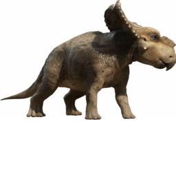 dino hangout