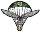51st Special Operations Division