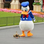 DuCk dAyS, WhOo