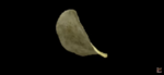 Potato chip!!!