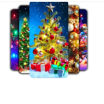 Christmas,Fun