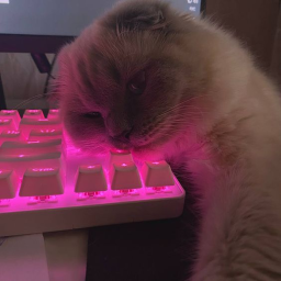 >ᴗ<