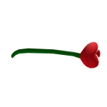Special Rose :3