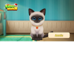 Krazy cat club
