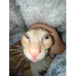 W4tch1ng W0nd3r$!