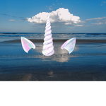Unicorn plays