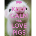 Official Pineapple piggy time & PIG FAN GROUP