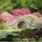 Garden of May