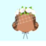Pastel Cherry
