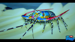 🦞 homar 🦞 |🐠🪸 Rafa 🐬🪸 